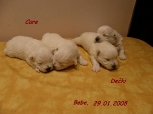 Leglo B, 29.01.2008. 