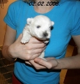 Naša bijela pahuljica, 02.02.08.