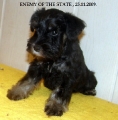 MALE,Enemy of the State, 25.10.09.   