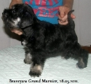 Male,28.05.2011.