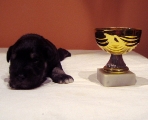 male, 30.04.11.