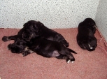 we have grown, 30.04.2011.   