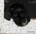 on guard.... 27.12.2011.  