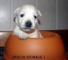 Female 1-10.02.10. 