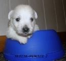 Female 2- 10.02.10.