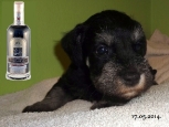 4 weeks old...  