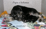 Pupa novopečena mama   